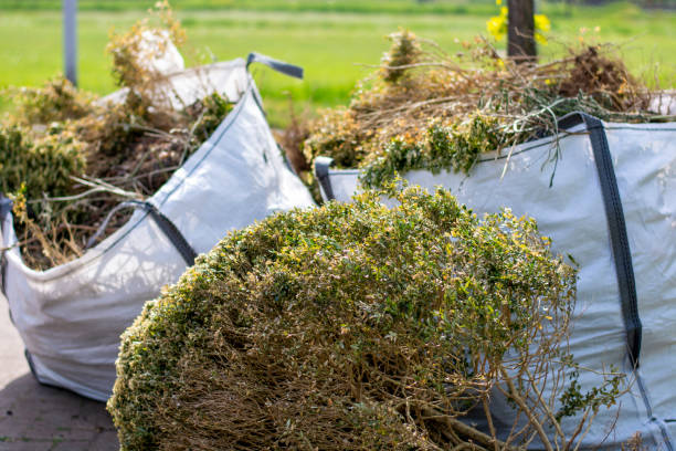 Best Office Junk Removal  in Richton, MS